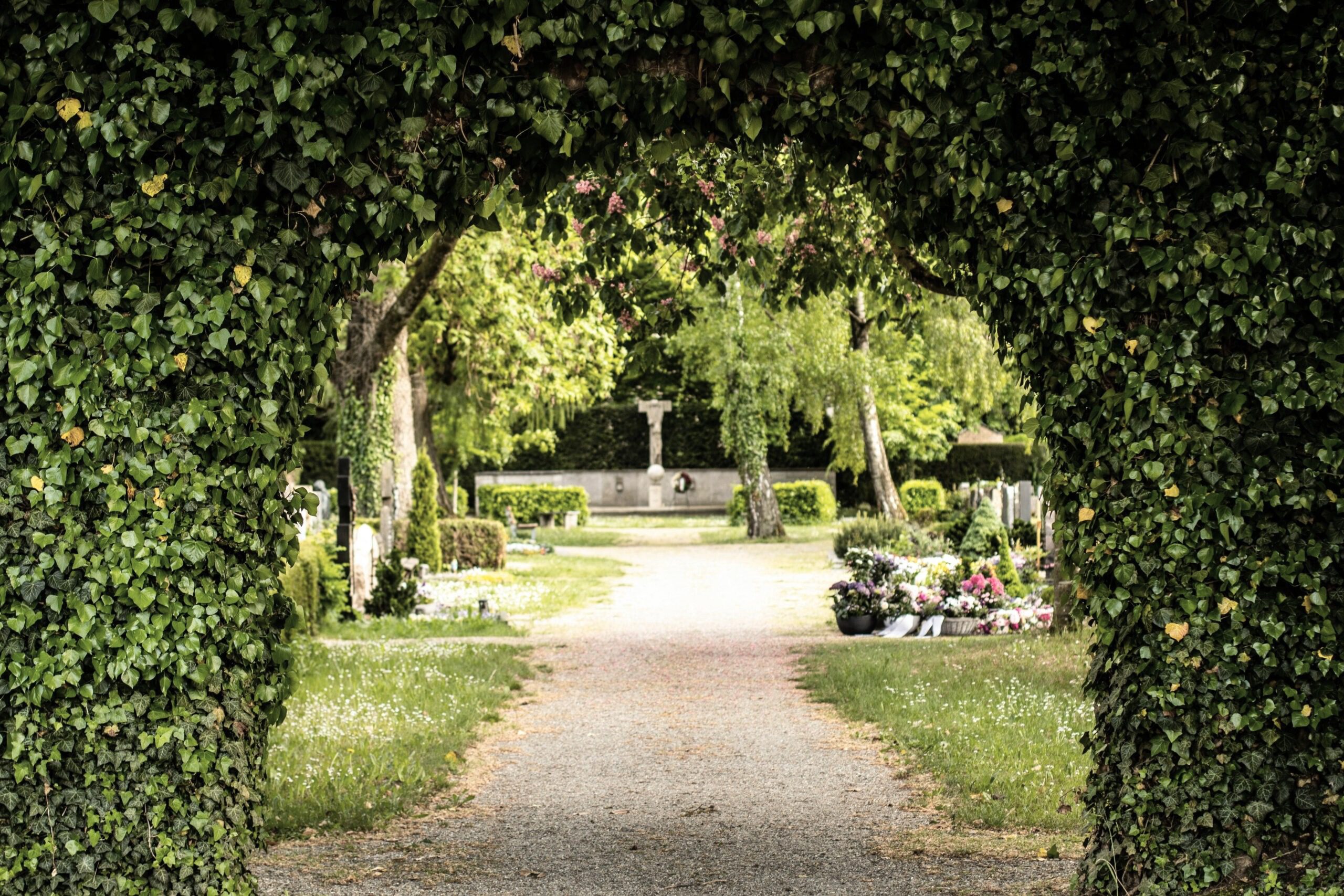 Kapavietu labiekārtošana un uzturēšana